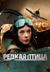 Сериал Редкая птица 2024 Россия (1, 2, 3, 4 Серия)